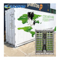 Smart Farm Shipping Container Container Green House